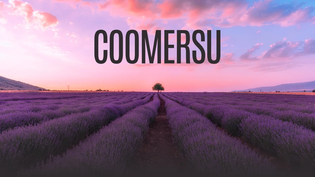 Coomersu: Your Guide to Easy Online Shopping